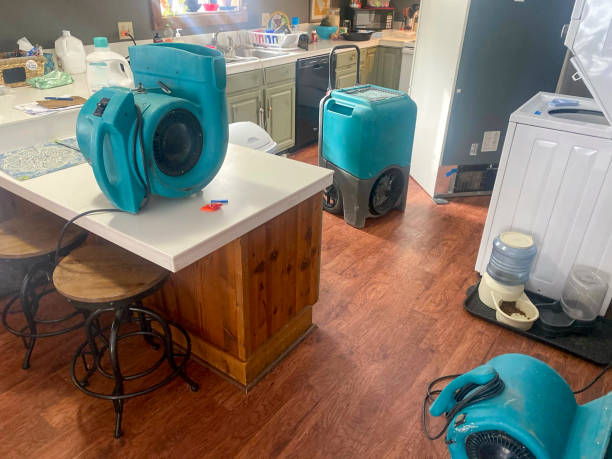 Best Water damage restoration specialists  in Lake Hopatcong, NJ