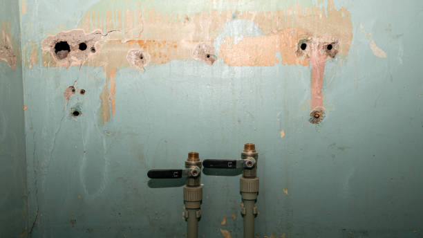 Best 24/7 water damage repair  in Lake Hopatcong, NJ